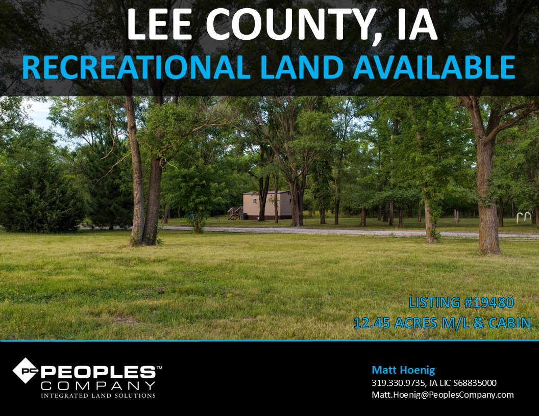 Listing #19480